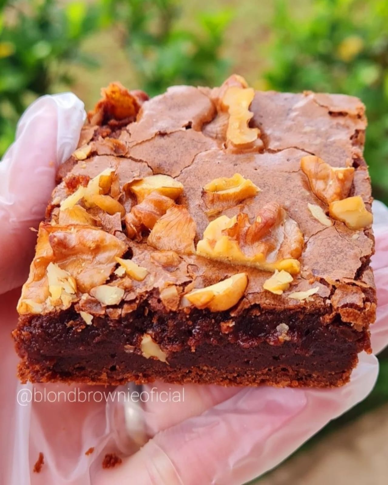 Brownie